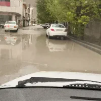 آموزش رانندگی برای بانوان محترم