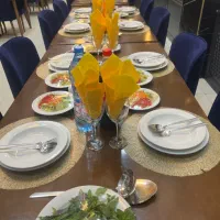 سالن کار ماهر و ظرفشور خانم