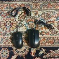 دوعدد مس کامپیوتر