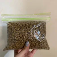 غذا خشک جوسرا مخصوص گربه