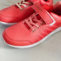 کفش|کیف، کفش، کمربند|دشتابی, |دیوار