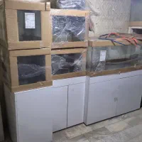 آکواریوم ریملس تهران شریمپ