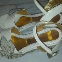 کفش مجلسی