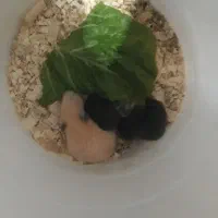 همستر خانگی