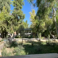 180-متر-تک-واحدی-سه-طرف-نور-صفر-اذر-بهرام