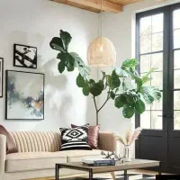 فروش باغچه 1500 متر