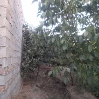 باغ ویلا دور دیوار
