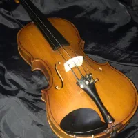 خاص ترین و قدیمی ترین ویالون موجود در ایران