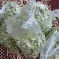 فروشی