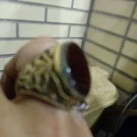 ساعت