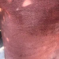 تعدادی موکت اکباتان|موکت|اصفهان, خواجو|دیوار