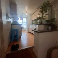 کار منزل یک روز در هفته|استخدام سرایداری و نظافت|تهران, جیحون|دیوار