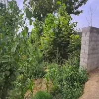 850مترچهاردیواری-مجموعه-باغی-دونبش-اسفهران