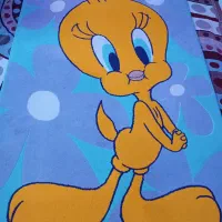 دوعددفرش اتاق کودک ۶متری ۴متری|فرش|آستارا, |دیوار