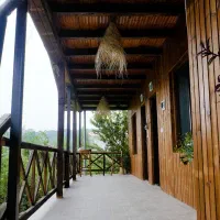 کلبه چوبی نوساز با طرح قدیم با ویوی جنگل|اجارهٔ کوتاه‌مدت ویلا و باغ|قائم‌شهر, |دیوار