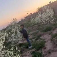 باغ فروشی|خدمات باغبانی و درختکاری|فیروزه, |دیوار