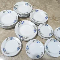 ۵دست بشقاب زیبا ملامین اصل درحدنو دستی۸۰۰