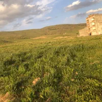 فروش فوری زمین ۹۰۰ متری سید احمد فوری