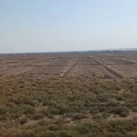 فروش-30هکتارزمین-کشاورزی-ملاثانی-روبروی-شهررامین
