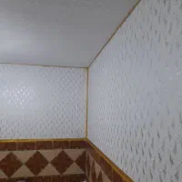 رنگ .نماخانه