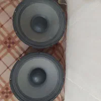 جفت ووفر 15 اینچ