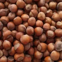 فندق وگردو|خوردنی و آشامیدنی|محمدیه-قزوین, |دیوار