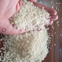 برنج فجر درجه یک