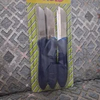 چاقو میوه خوری و آشپزخانه