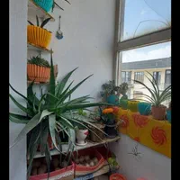 واحد81متری،طبقه چهارم،لوکیشن خوب سندتک برگ|فروش آپارتمان|کرج, آق تپه|دیوار