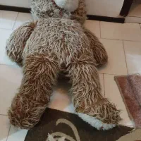 خرس ۱/۵متری ویک سگ۱ متری نو