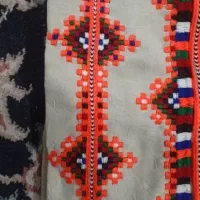 یک گروه دوچگر در استان گلستان