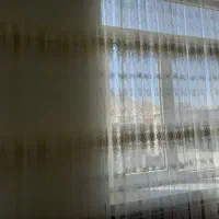 پرده|پرده، رانر، رومیزی|بهار, |دیوار