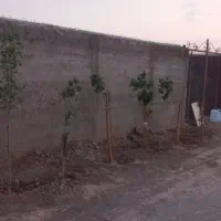 فروش زمین|فروش دفتر صنعتی، کشاورزی، تجاری|اشتهارد, |دیوار