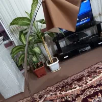 آباژور