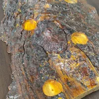 جا شمعی چوبی