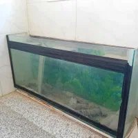 آکواریوم سالم تمیز،باهمه امکانات