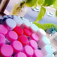 کرم شب صورت