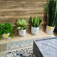 تعدادی گل و گیاه طبیعی با گلدون سرامیکی