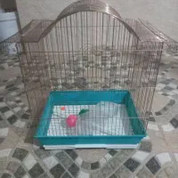قفس کلبه ای