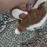 لبوبو خوشگل|اسباب‌‌بازی|تبریز, |دیوار