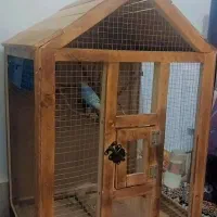 قفس کلبه ای چوبی|لوازم جانبی حیوانات|بردسکن, |دیوار