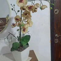 گلدان
