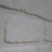 همراه بیمار