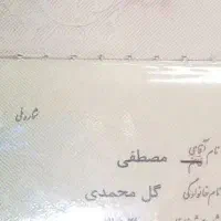 کیف پول جیبی به همراه مدارک گمشده