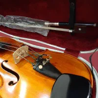 ویولن حرفه ای با چوب اروپایی|ویولن|سنندج, |دیوار