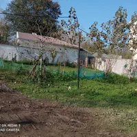 فروش زمین 200متر مربع|فروش زمین و ملک کلنگی|ضیابر, |دیوار