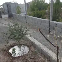 باغ-و-باغچه