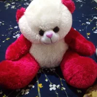 عروسک پولیشی فروش فوری