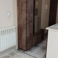 جا لباسی و جاکفشی