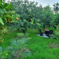 ویلا باغ جنگلی ۵۰۰۰ متر/دربست/نزدیک بام  و دریا